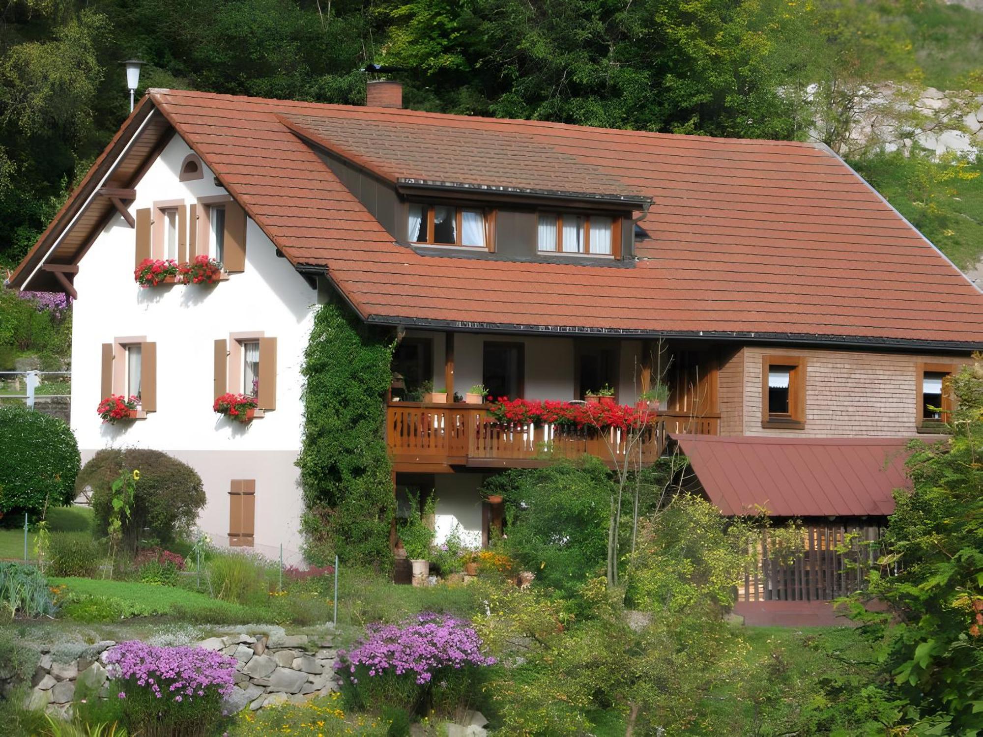 Wohnung Irene Todtnau Buitenkant foto